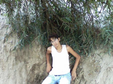 c qui